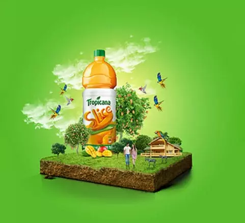 Khóa học adobe Illustrator Khóa Học Adobe Illustrator