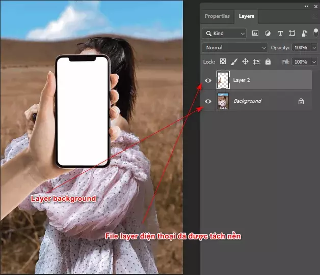 Cách tạo thú bông trong illustrator Cách Tạo Thú Bông Trong Illustrator
