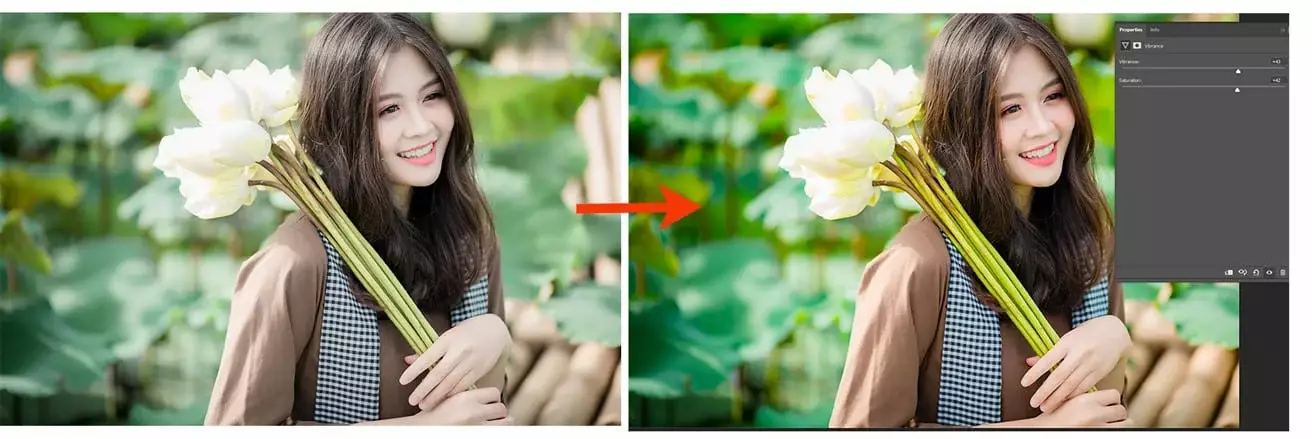 Cách chỉnh màu trong Photoshop cực đẹp mới nhất 2022 Kết Quả Của Việc Chỉnh Màu Trong Photoshop