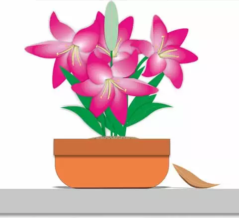 Khóa học Coreldraw Khóa Học Coreldraw
