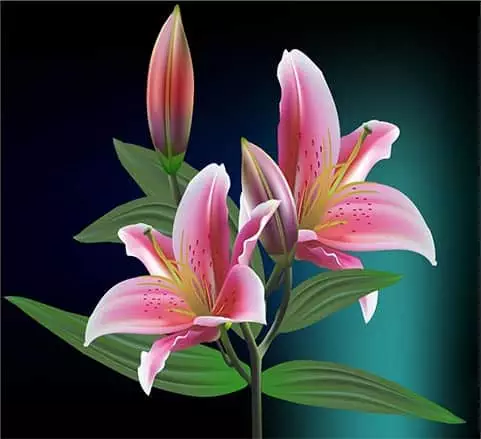 Khóa học Coreldraw Khóa Học Coreldraw
