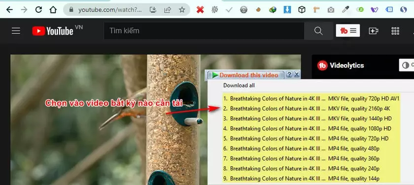 6 cách tải video youtube chất lượng cao nhanh nhất Downlaod Video Youtube
