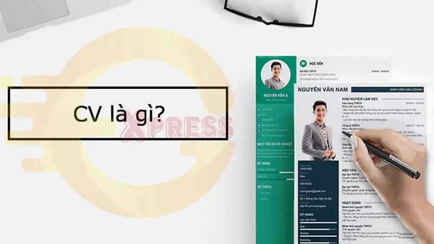 10 Cách Tạo CV Xin Việc Ấn Tượng Nhất Với Nhà Tuyển Dụng Cv Là Gì