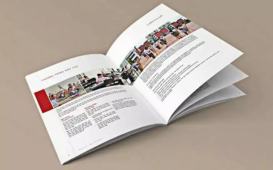 Hướng dẫn thiết kế catalogue chuyên nghiệp bắt mắt Thiết Kế Catalogue Chuyên Nghiệp
