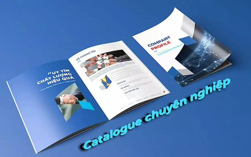 Hướng dẫn thiết kế catalogue chuyên nghiệp bắt mắt Hướng Dẫn Thiết Kế Catalogue Chuyên Nghiệp Bắt Mắt