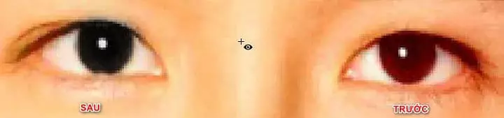 Cách sử dụng Spot Healing Brush Tool Photoshop Red Eye Tool