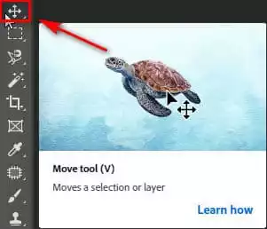 Cách sử dụng Move tool Photoshop Move Tool Photoshop