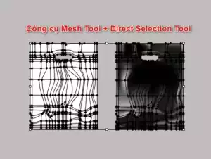 Hướng dẫn thiết kế bao bì trong illustrator Bước 2: Tạo Lưới Bằng Công Cụ Mesh Tool.