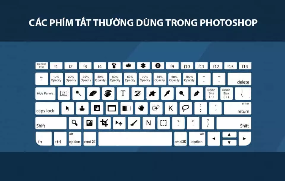 Học pts cs6 cho người mới bắt đầu chi tiết nhất Luôn Thực Hành Sử Dụng Phím Tắt Khi Học Pts Cs6