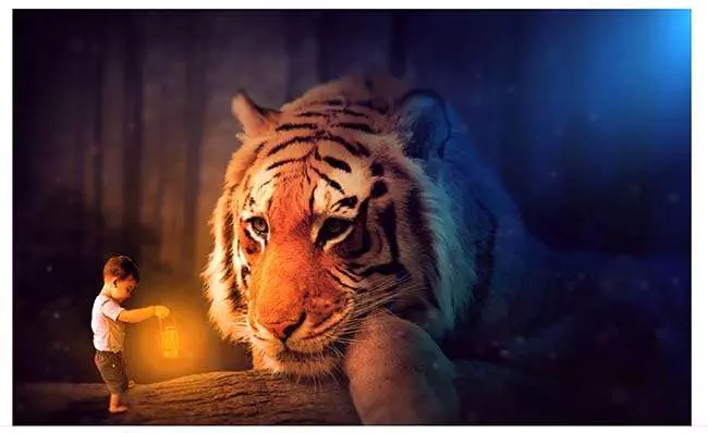 Tại sao nên học Photoshop? Những lợi ích to lớn của Photoshop Biến Đổi Hình Ảnh Một Cách Sáng Tạo