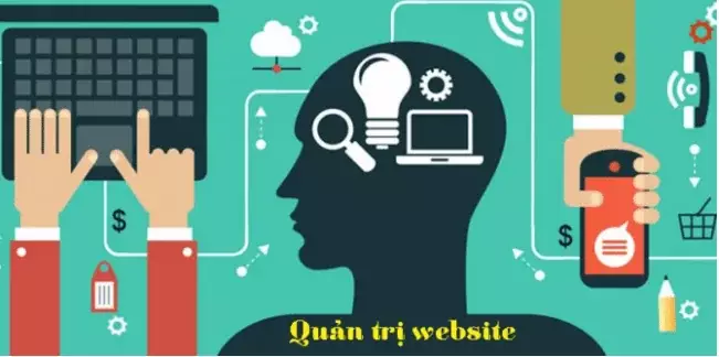 Dịch vụ quản trị Website chăm sóc website hiệu quả Một Trong Những Yếu Tố Quan Trọng Nhất Của Dịch Vụ Cung Cấp Nội Dung Web Thành Công Là Việc Sáng Tạo Nội Dung Thực Tế