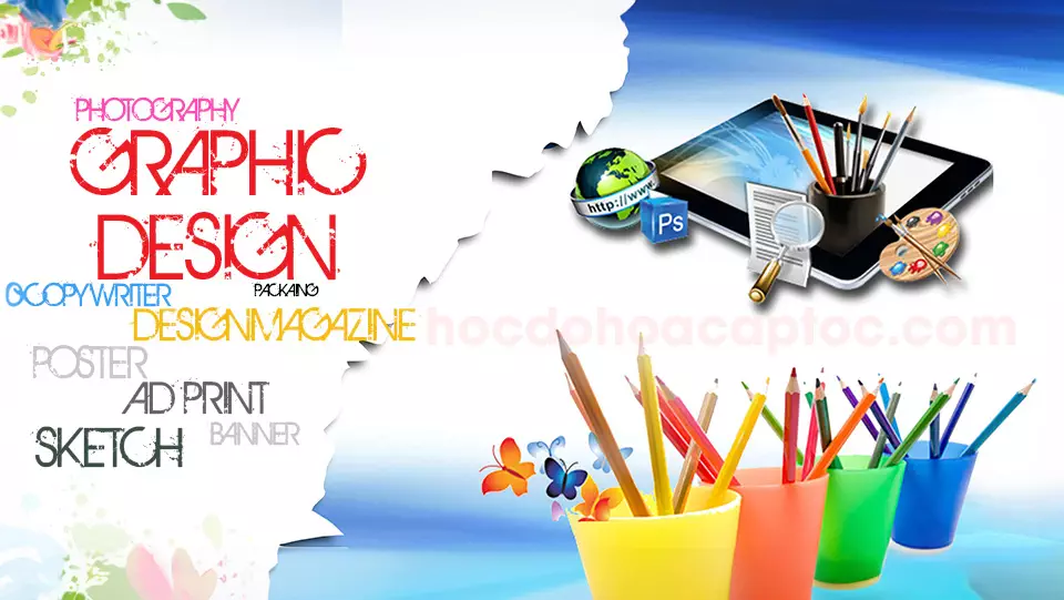 adobe illustrator là gì? Adobe Illustrator Là Gì?