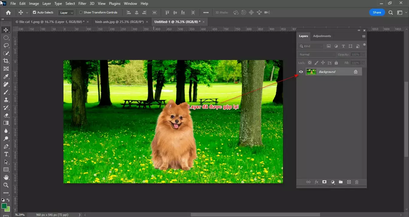 Cách tạo chất liệu ảnh trong photoshop Cách Tạo Chất Liệu Ảnh Trong Photoshop