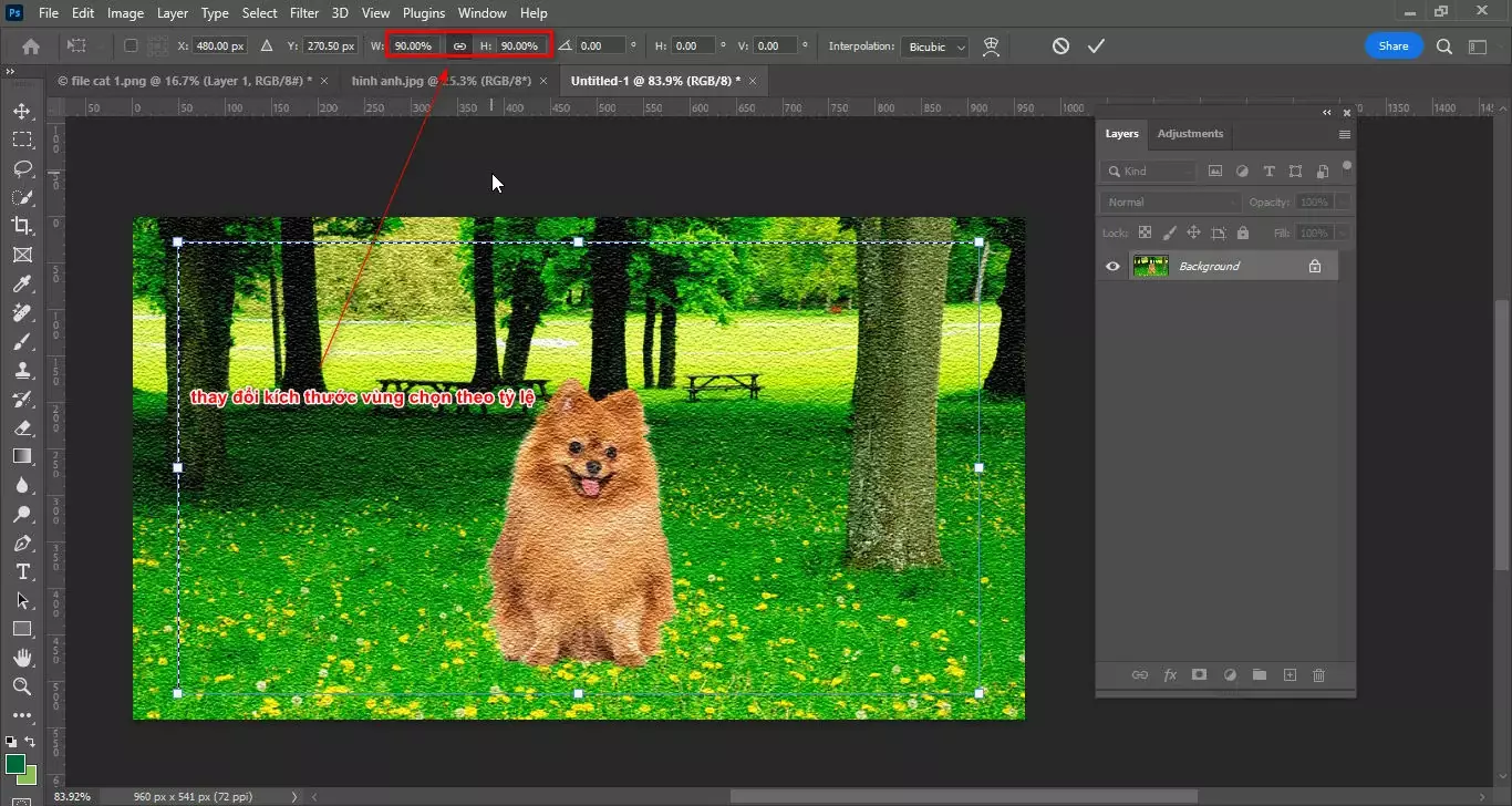 Cách tạo chất liệu ảnh trong photoshop Cách Tạo Chất Liệu Ảnh Trong Photoshop